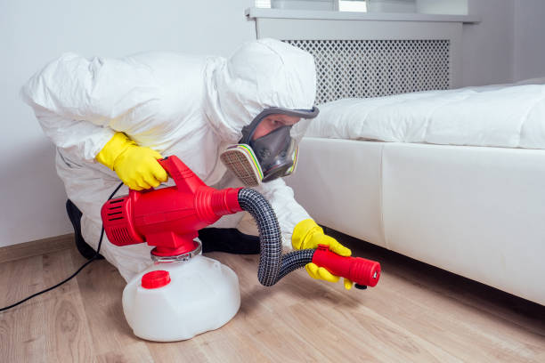Best Rat Extermination Near Me  in Winchester, CA
