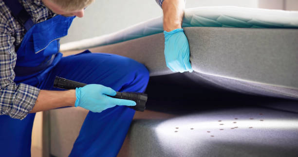 Best Pest Control Treatment  in Winchester, CA