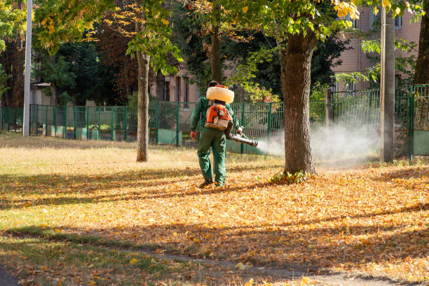Winchester, CA Pest Control Company