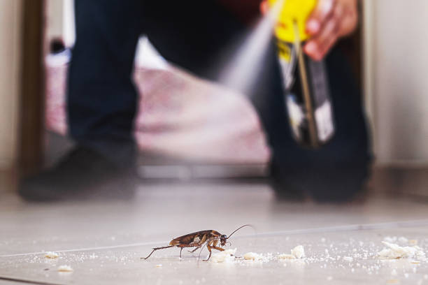 Best Affordable Pest Control Services  in Winchester, CA