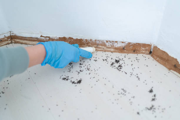 Best Pest Removal Services  in Winchester, CA